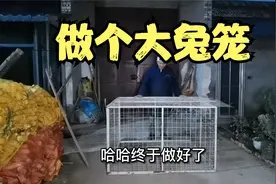 农村老房大改造，阿帅先给在厨房养的兔子做个窝，结果一秒逃脱视频封面