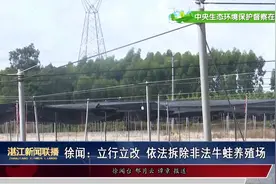徐闻：立行立改   依法拆除非法牛蛙养殖场视频封面