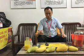水果酒—芒果酒制作