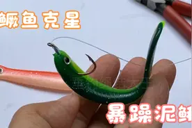 路亚鳜鱼专用暴躁泥鳅钓组，低成本高效率视频封面