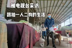 被电视台采访，跟拍一人二狗的日常生活视频封面