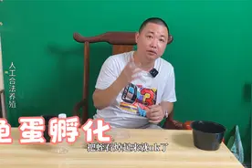 乌龟孵化教程来了，很简单温度不是太高就行视频封面