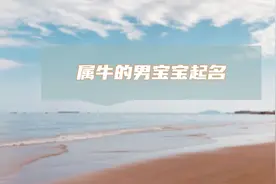 属牛的男宝宝起名视频封面