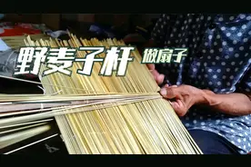 这才是真正的农村传统手艺，奶奶用野麦杆编制的扇子，环保又轻凉