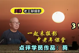 点评学员黄久云的摄影作品：荷。色调影调构图，分别指出优缺点视频封面