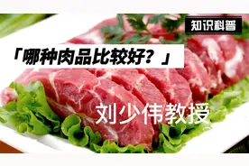 热鲜肉，冰鲜肉，冷冻肉，如何选择？视频封面