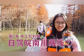 皖南川藏线的网红景点，水上红杉林，坐竹筏漂20分钟票价60元