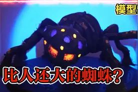 模型：比人还大的蜘蛛你见过吗？一条腿有两条腿粗！视频封面