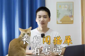 现在的人真奇怪，猫屎闻多了对人有害吗？