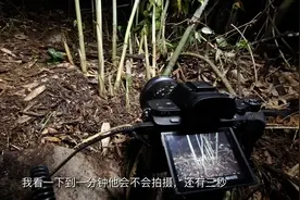 真实记录：摄影师在野外拍摄竹笋生长延时，分享拍摄参数注意事项