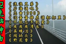 2022爆红全网10首DJ神曲，首首洗脑，DJ车载大串烧，百听不厌！视频封面