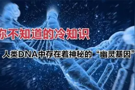 藏在DNA里的密秘视频封面