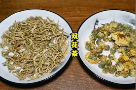 菊花搭配金银花真棒，一身清凉，舒舒服服，有人还不懂的视频封面