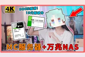 苏打VLOG：DDR5内存插满！组装高颜值万兆NSA，还能开MC服务器！视频封面