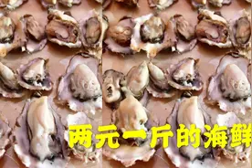 婆婆2元一斤买的海蛎子，什么味，这样做才鲜美视频封面