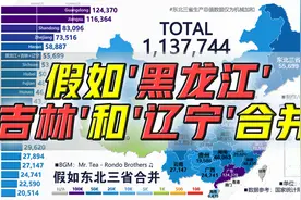 假如黑龙江、吉林和辽宁合并，GDP能排全国第几？视频封面