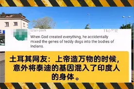 【油管趣评】探讨印度人为何干啥啥不行还迷之自信？视频封面