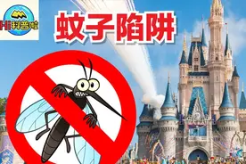 为什么迪士尼乐园没有蚊子？视频封面