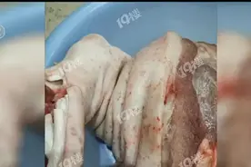 有点瘆人！猪蹄上布满红点，卖家说是蚊子咬的？蚊子：我不背锅视频封面