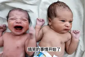 刚出生的龙凤胎被放到一起，爸爸一个动作，宝宝地位立显！视频封面