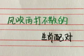 风吹雨打不散的3对生肖，相互成就，相互遮风挡雨！视频封面