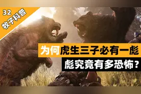 为何说虎生三子必有一彪，彪究竟是什么生物，它攻击性有多恐怖？视频封面