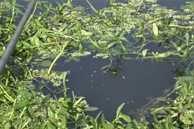 水深1米多底钓鲫鱼，鲫鱼咬钩都是有力的顶漂，窝点光冒泡口较少