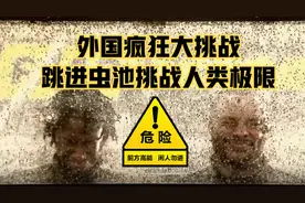 国外疯狂挑战，生吃虫子跳进虫池，场面太美无法想象！视频封面