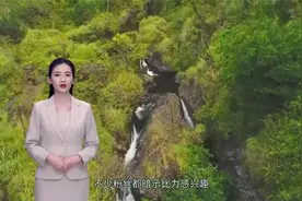 狗狗是如何“配种”的，它们为何会背靠背分不开？