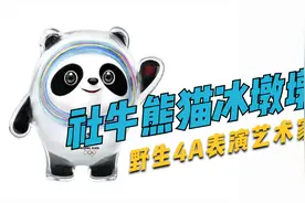 冰墩墩后脑勺为啥凹了一块 网友：不愧是社牛啊视频封面