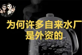 中国仍有部分供水厂被外资控制？你喝的自来水可能是外企掌控！视频封面