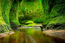 静心禅乐《清净法身佛》空灵悠远，静心养神，消除烦恼，心生欢喜