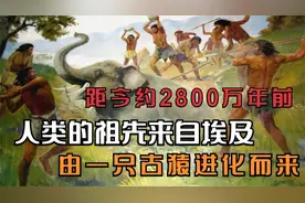 距今约2800万年前，人类的祖先来自埃及，由一只古猿进化而来视频封面