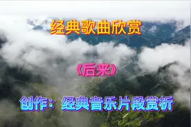 经典音乐片段分享：刘若英《后来》，专辑《我等你》-1999年发行视频封面