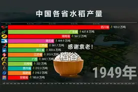 中国各省水稻产量12强排名，国士无双，缅怀袁爷爷！视频封面