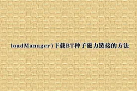 loadManager)下载BT种子磁力链接的方法【转载】视频封面