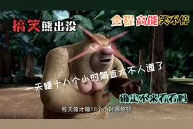 搞笑熊出没：熊二一天竟然要睡18个小时，全都是因为肥波