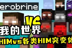 我的世界：HimVS各类突变Him，都是同一个师傅教的，破不了防啊视频封面