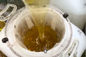 养蜂人是如何摇蜜的？蜂妹实拍，真实还原大自然的馈赠视频封面