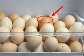 保存鸡蛋切记不要放冰箱，记住这2招，保鲜3个月，夏天也不怕坏视频封面