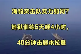 海豹突击队实力如何？地狱训练5天睡4小时，40分钟击毙本拉登视频封面