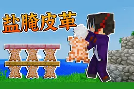 我的世界科技进化20：原始制造术，反复腌晒做出皮革