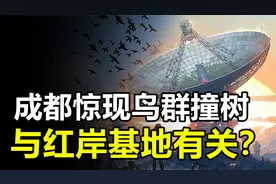 成都群鸟异象，网友称与“红岸基地”有关，究竟怎么回事？