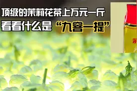 作为国事礼茶的茉莉花茶，看看它九窨（xun）一提的制作工艺视频封面