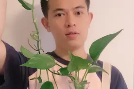 夏季水培“大烦恼”：瓶子长虫子，太恶心，赶紧解决！视频封面