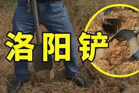 《洛阳铲使用说明书》视频封面