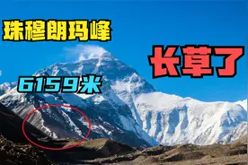 珠峰6159米长草意味什么？专家：不是一个好消息，或会影响14亿人视频封面