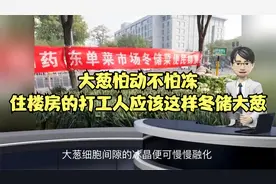 大葱怕动不怕冻，住楼房的打工人应该这样冬储大葱视频封面