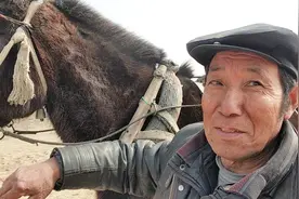驴，马，骡子都是站着睡觉吗？养驴的大爷告诉你真相，没想到啊