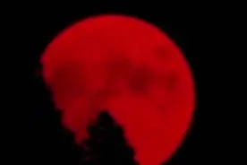 诡异！美加州出现血红色满月，气象专家揭露原因令人毛骨悚然视频封面